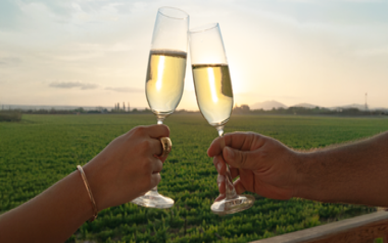 PREVENTA - CELEBRACIÓN DE AÑO NUEVO 2026 / celebracion-de-ano-nuevo-2026