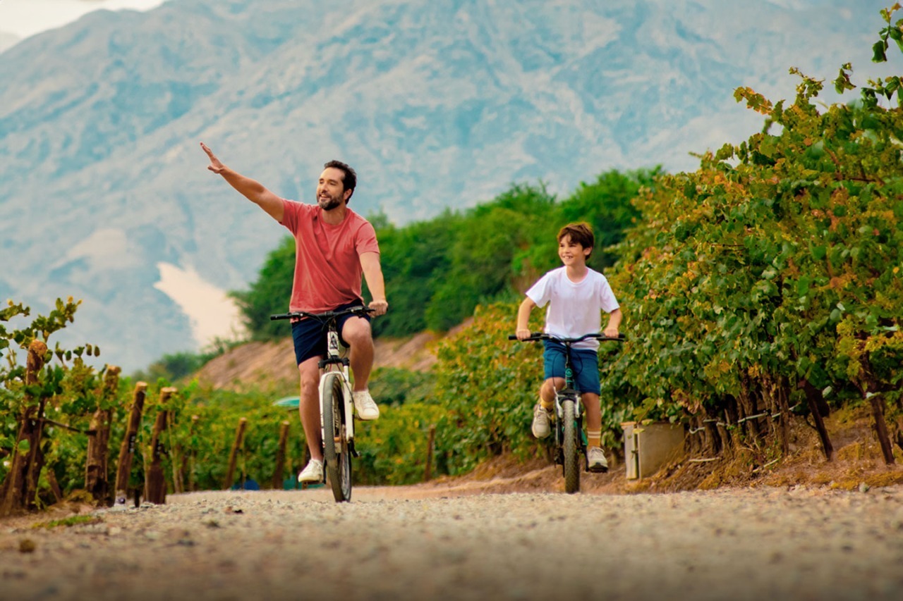 Actividades del Hotel