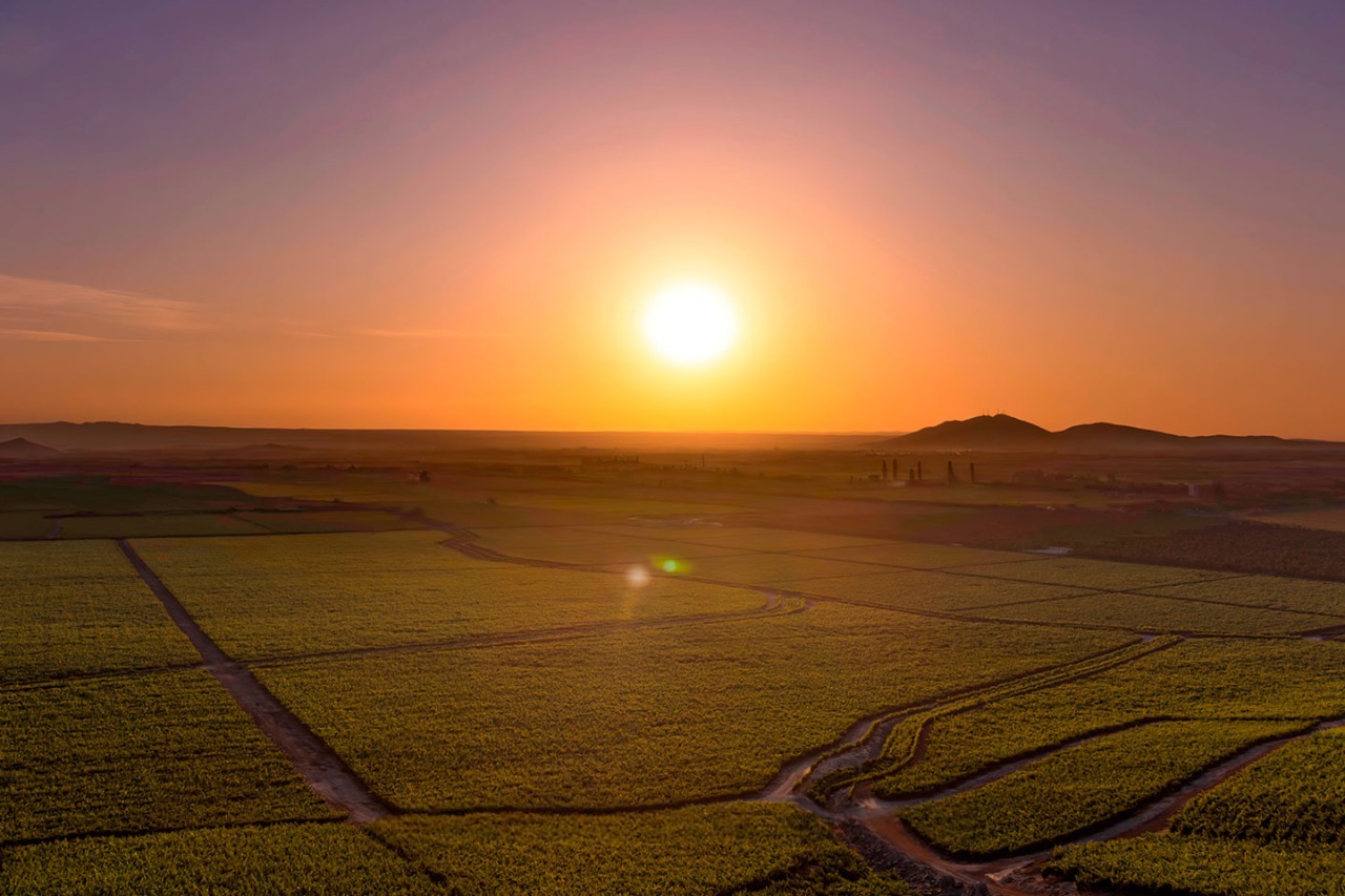 Tours Enoturísticos